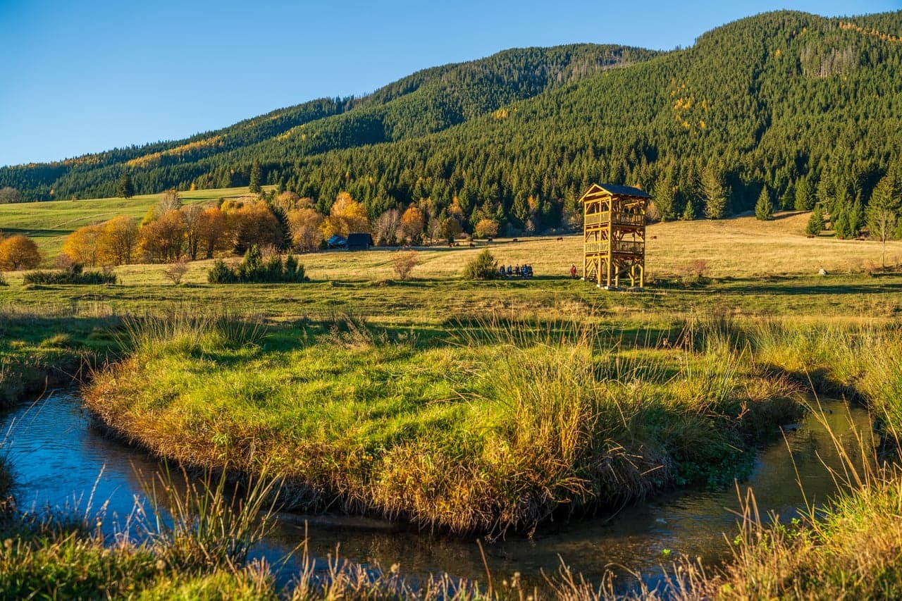 Meandry Lúžňanki na łące i drewniana wieża pod zalesionymi górami